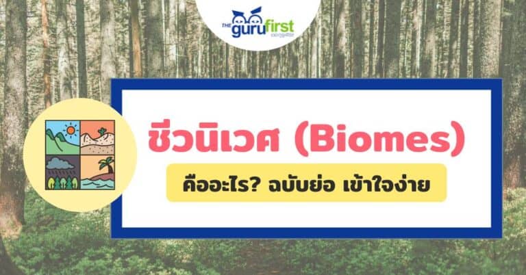 ชีวนิเวศ (Biomes) คืออะไร?